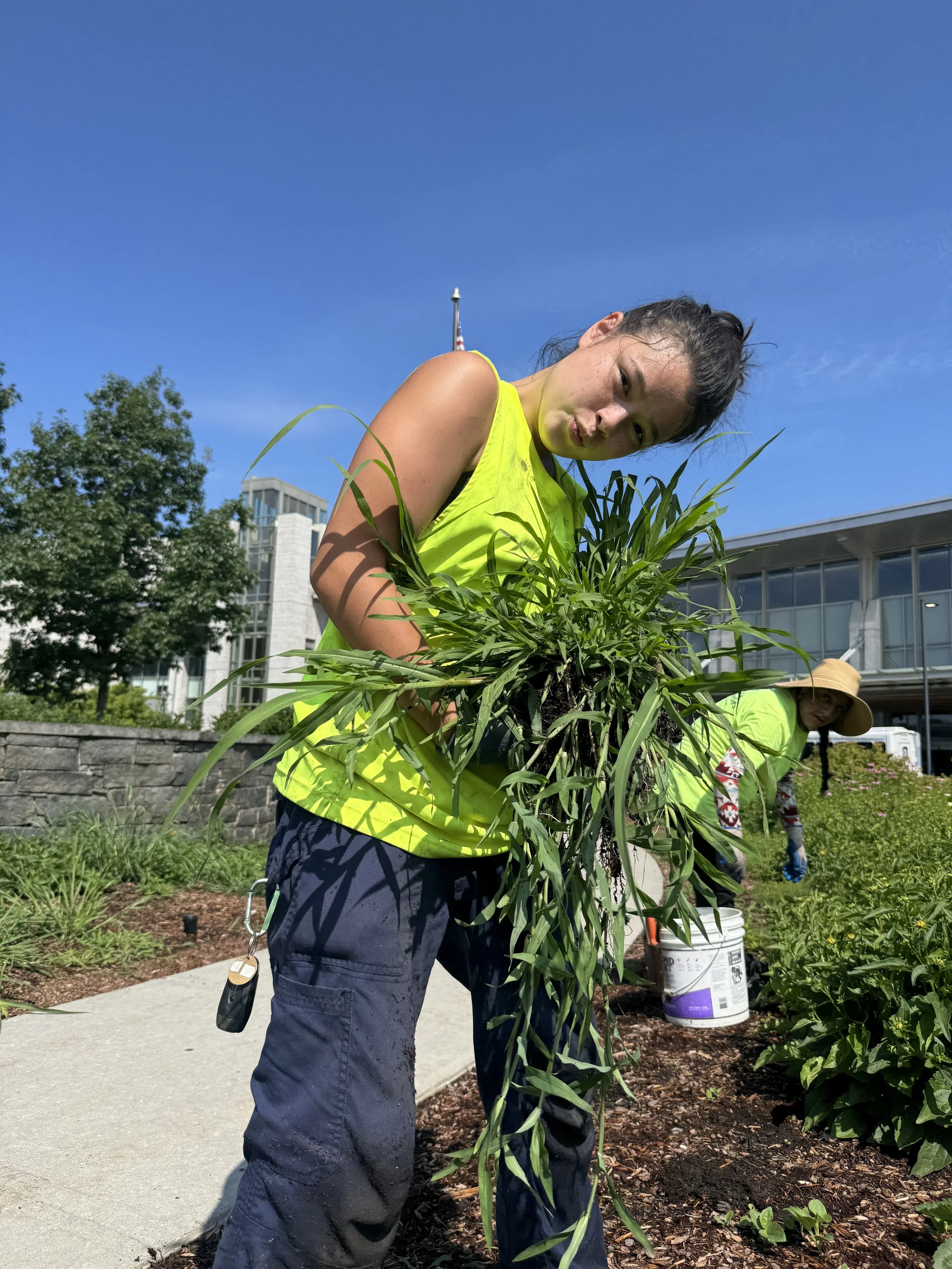 How We Help Office Parks Manage Mid-Summer Landscaping