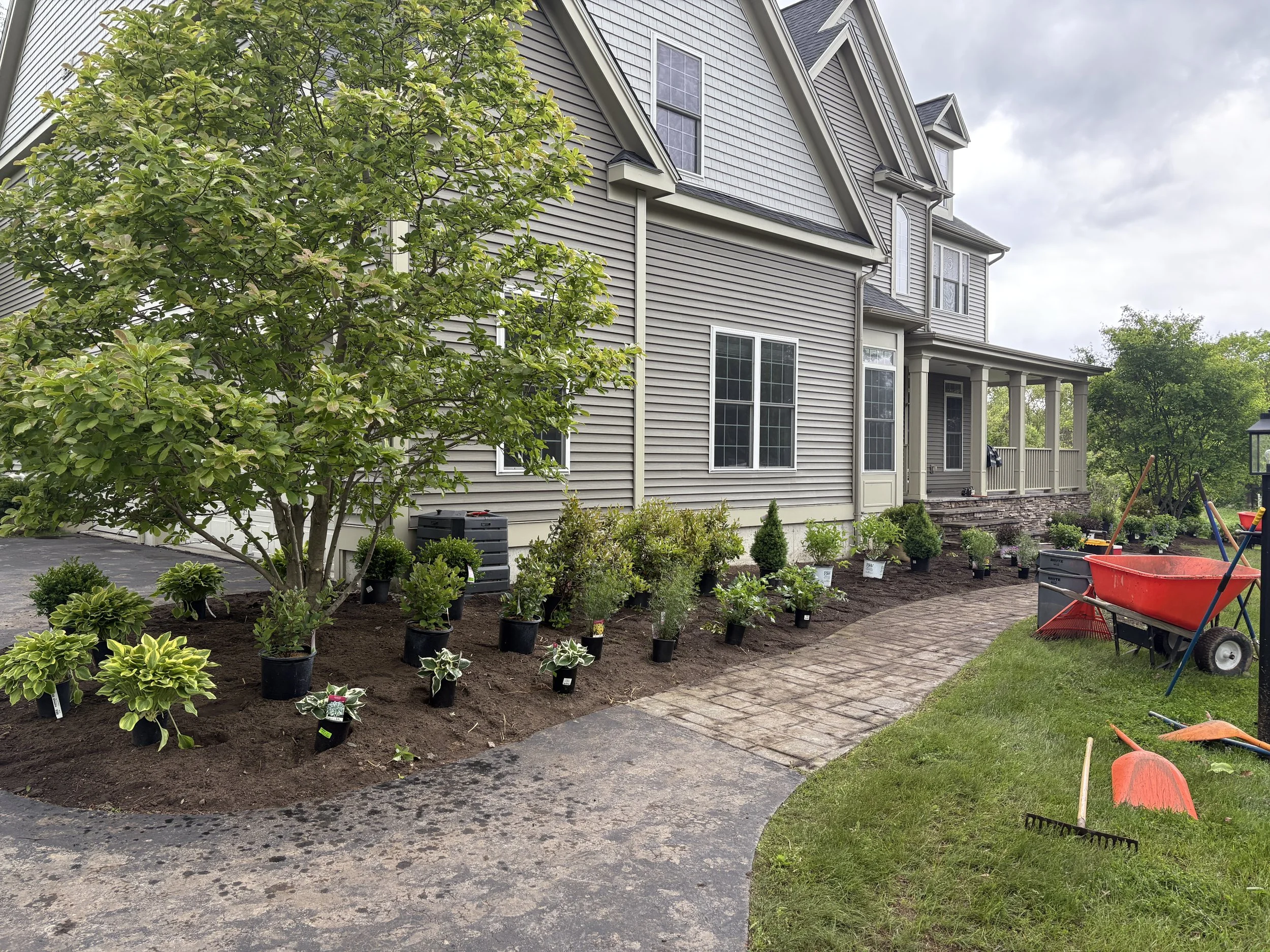 pinnacle properties initial layout of new landscaping plants and shrubs