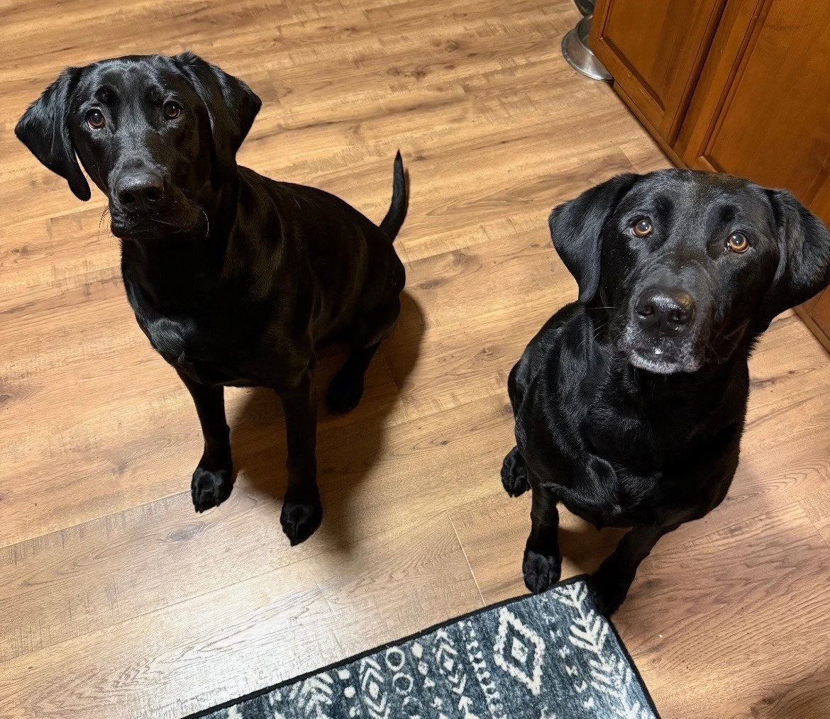 Martina McBride & Smokey