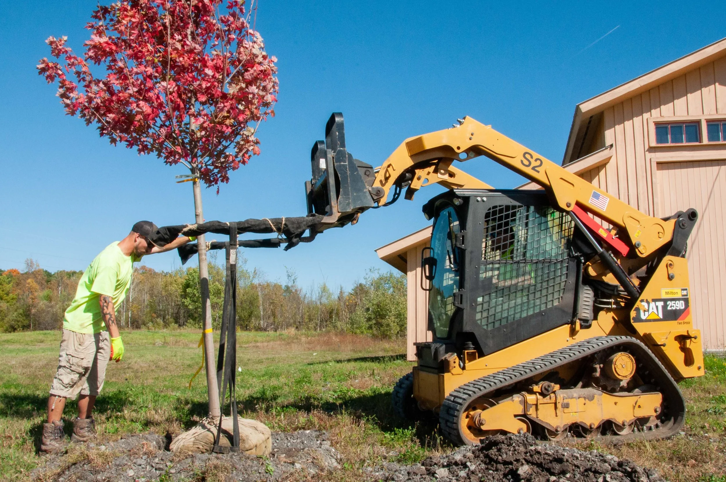 pinnacle properties using a skid steer to plant a tree on a commercial property in vermont