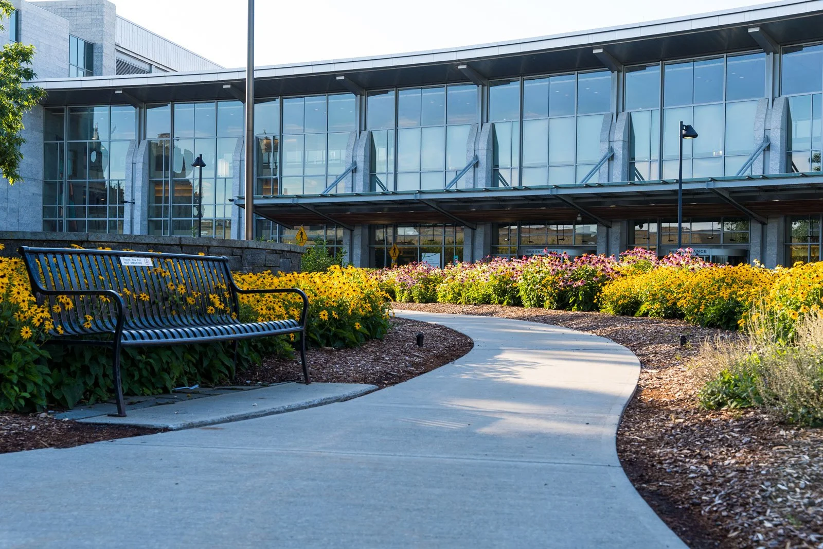 How to Protect Your Landscaping Before the First Frost