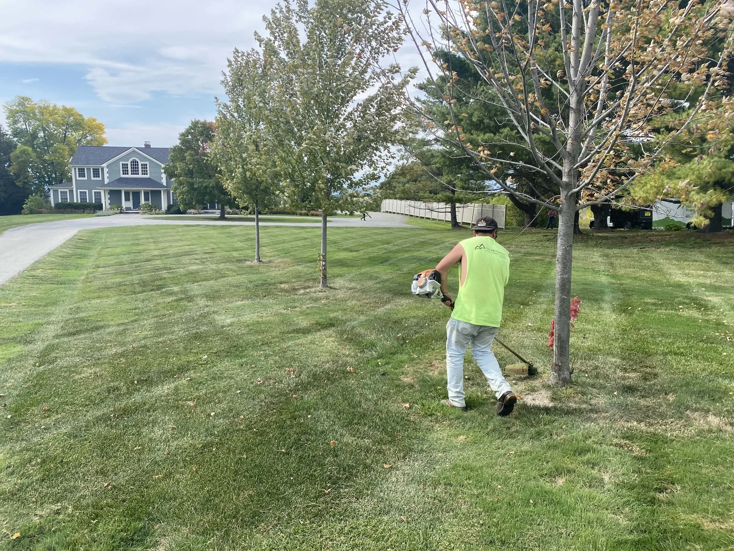 pinnacle properties landscaper weed whacking