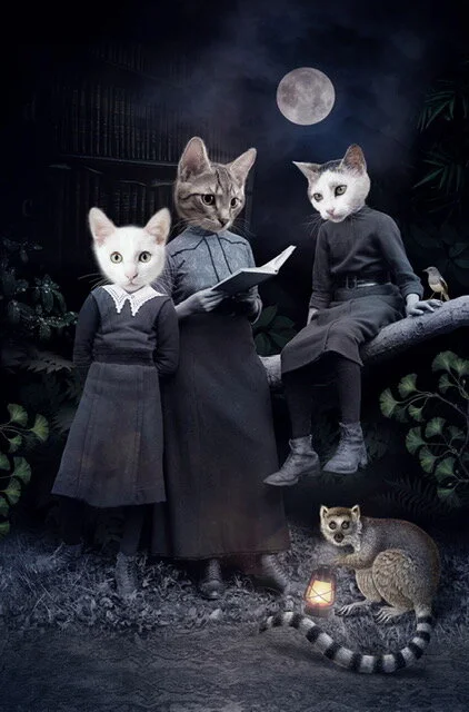 Moonlights's tale, 2021.