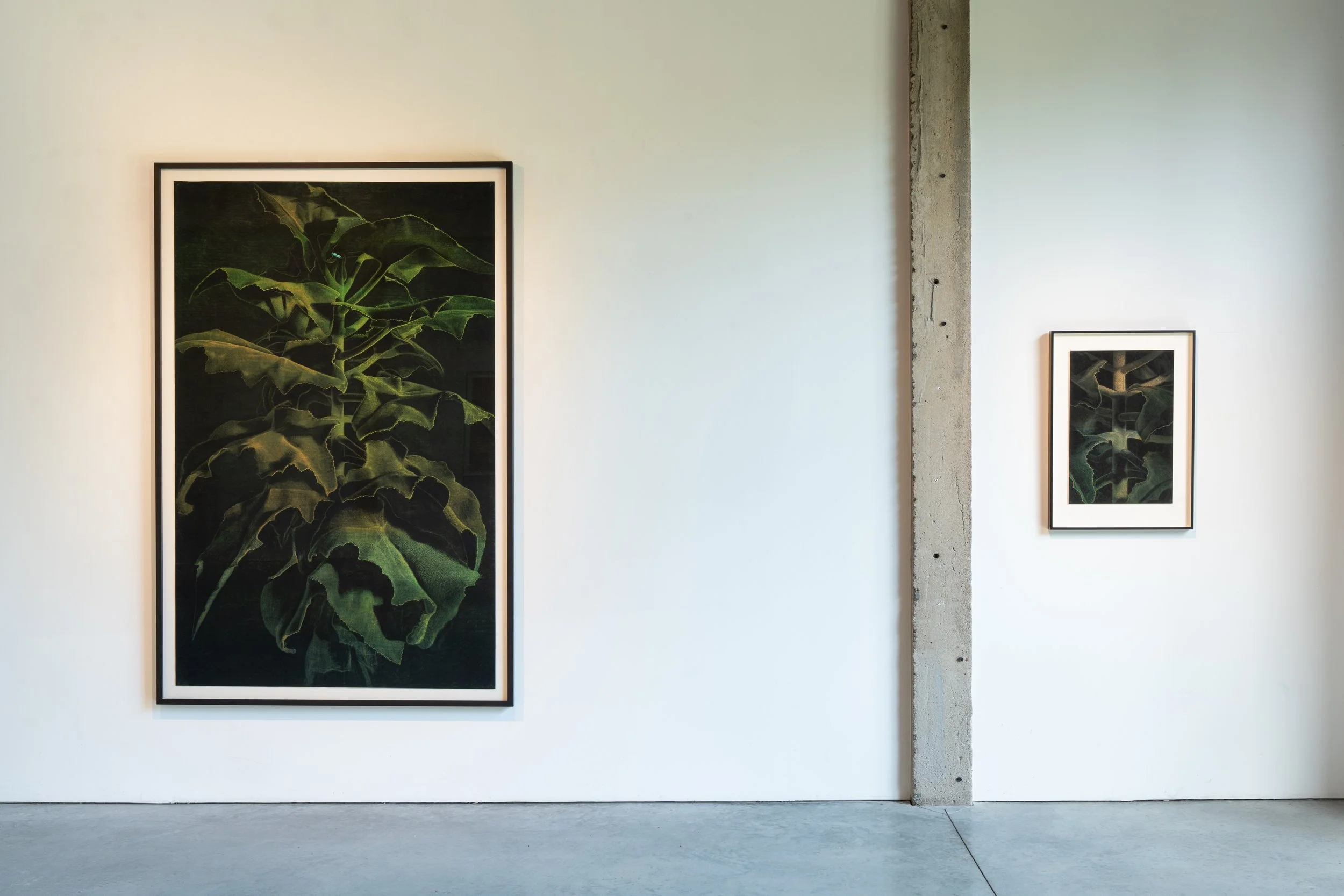 105LVO08233untitled.jpg