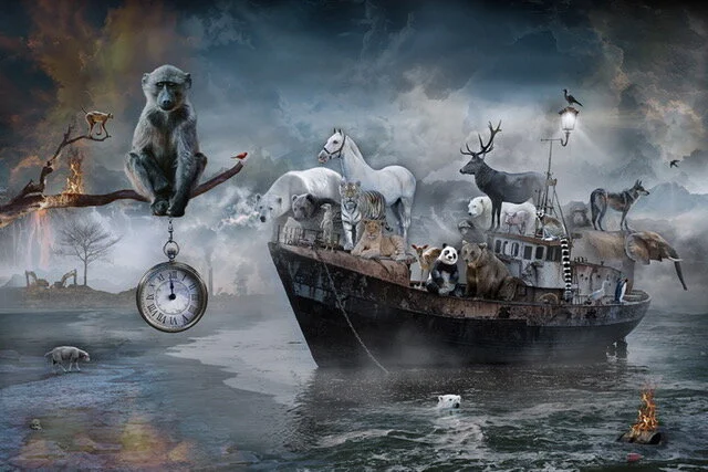 The last boat to paradise, 2021.