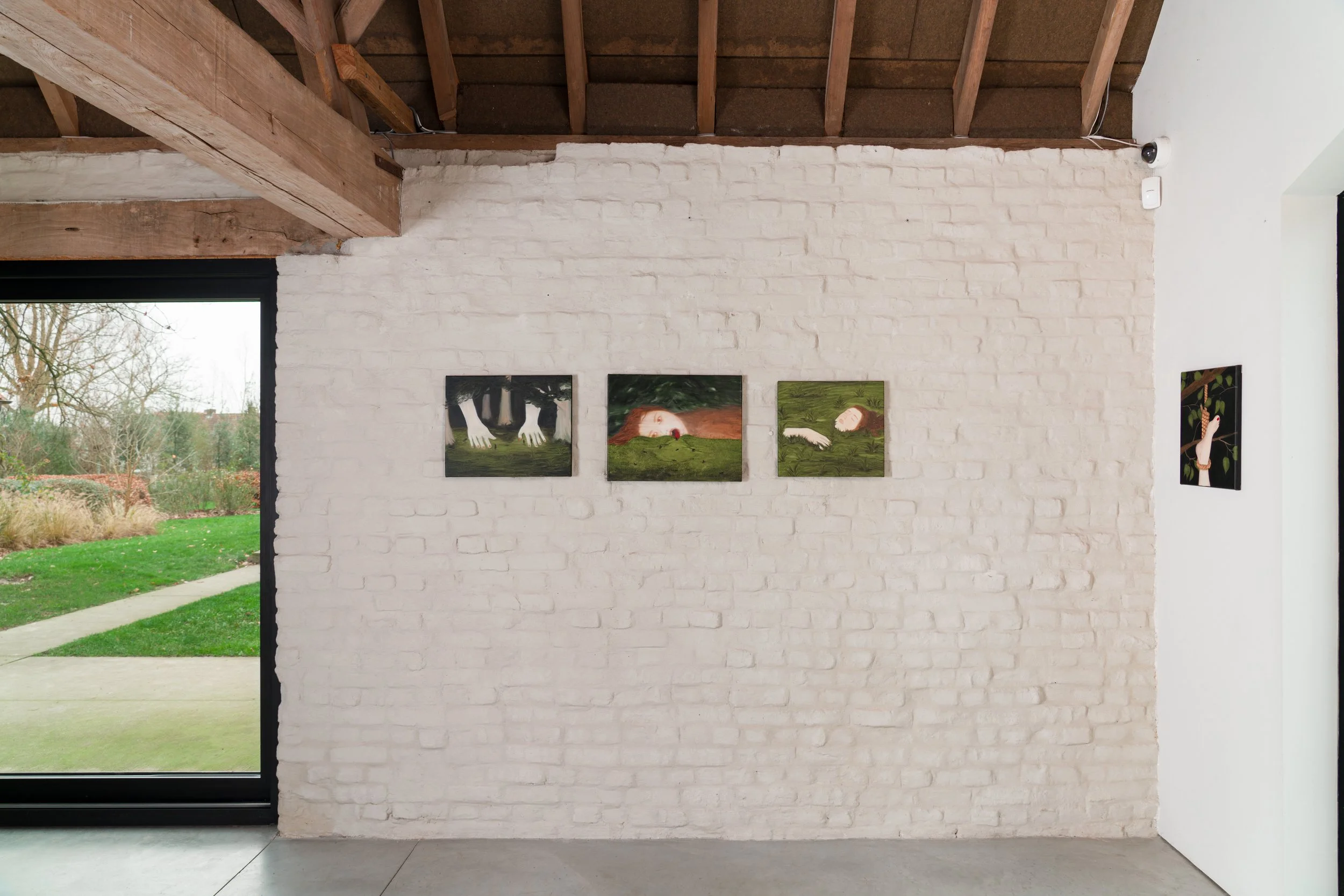 2512 Silent Witness -  - View -SHV01999-Edit.jpg