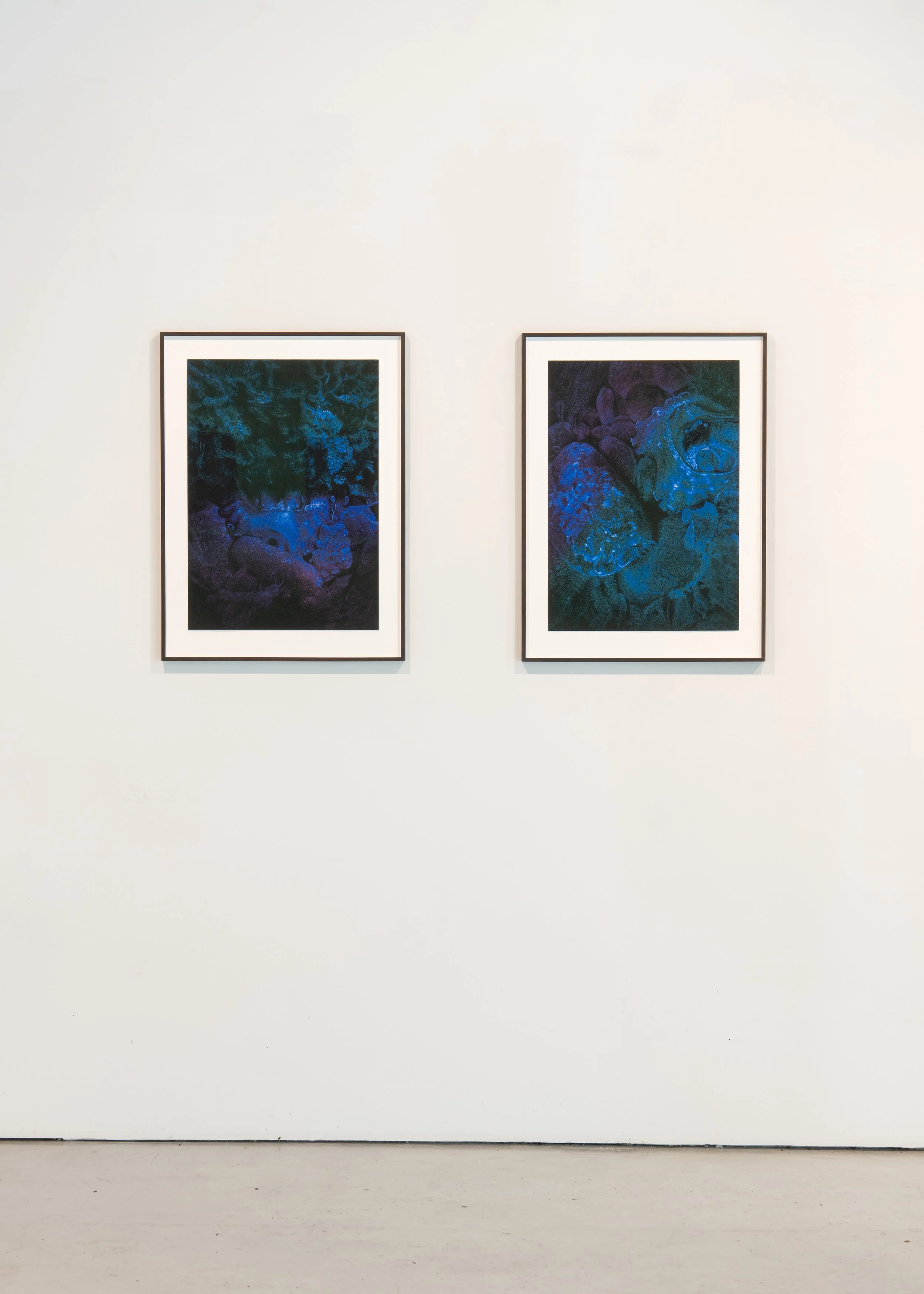 104LVO08247untitled.jpg