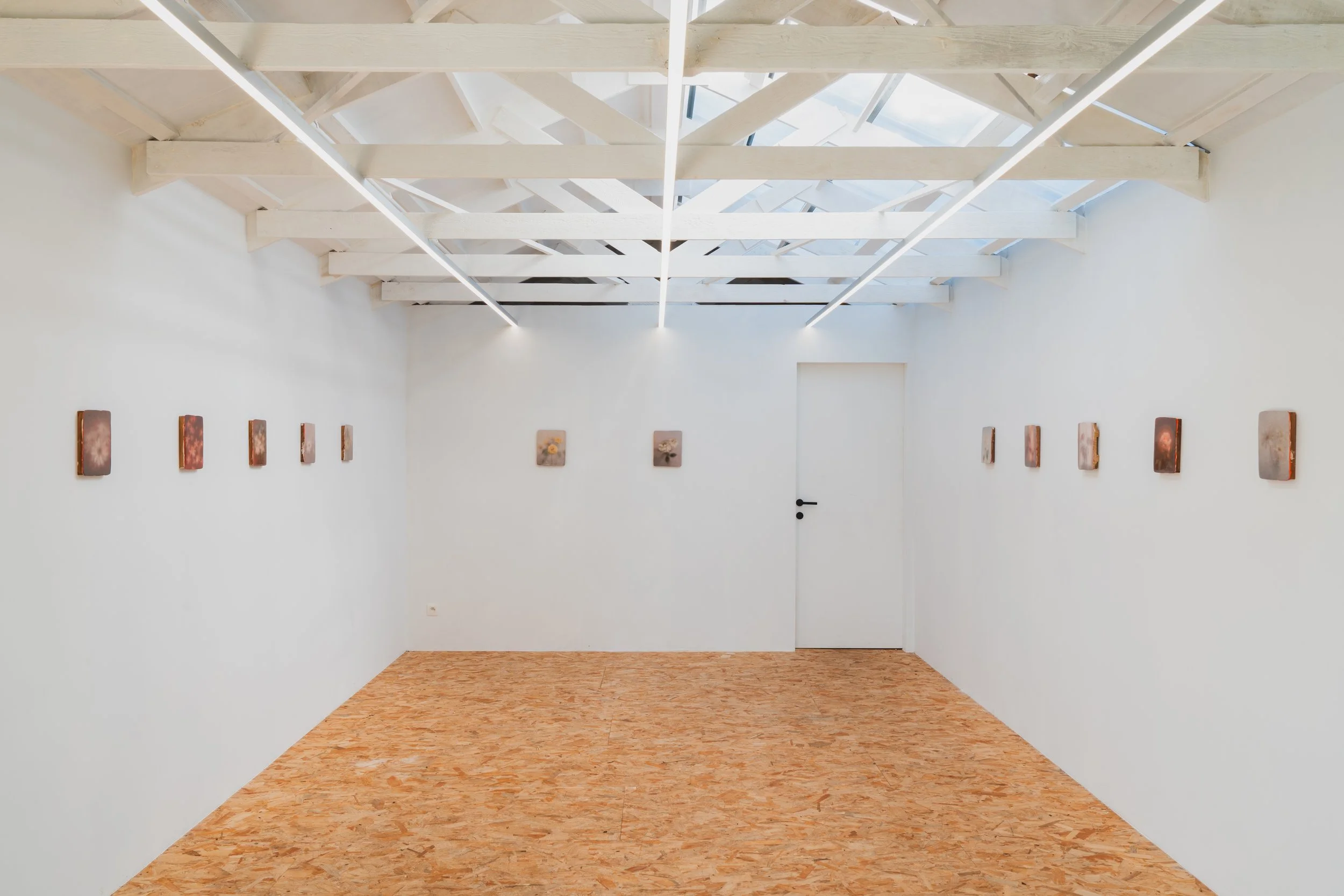 Quietude — Alberto Lamback
4 July – 30 August 2026