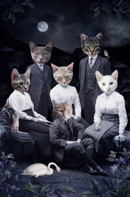 Never forget the forest IV