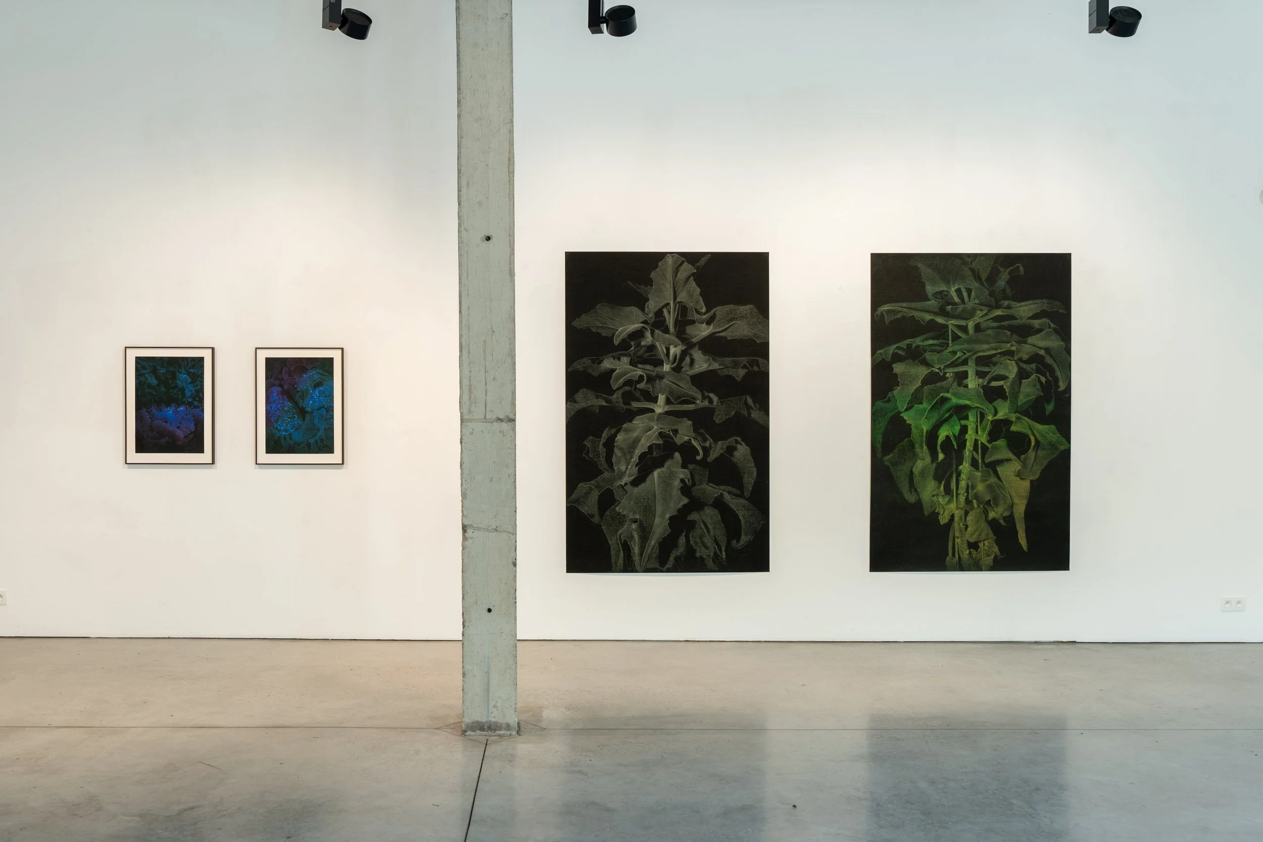 100LVO08184untitled.jpg