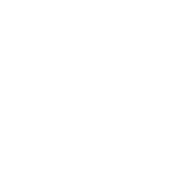 Equity in Camp Initiative