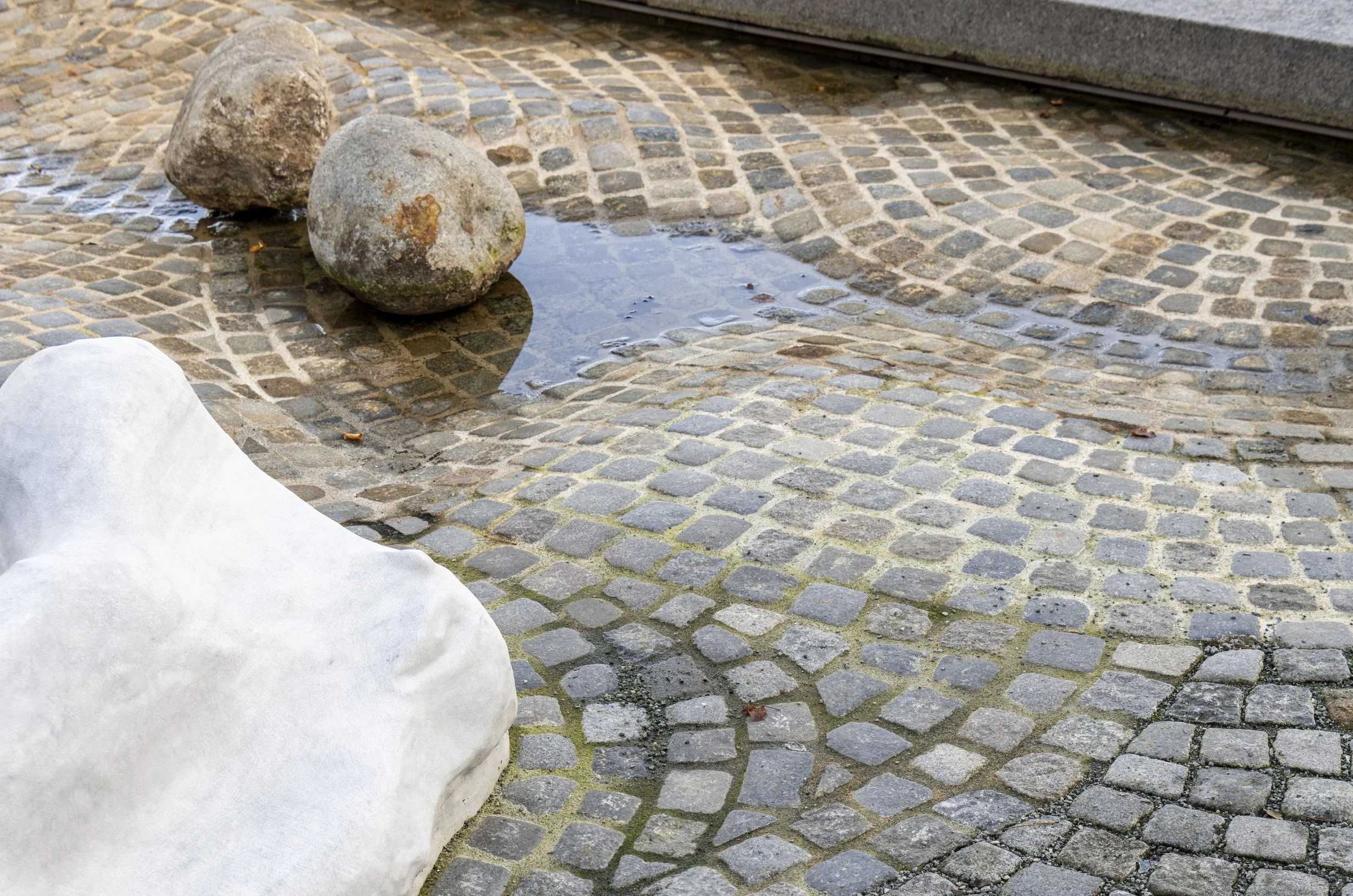 Jone Kvie_DSA5549_highres.jpg