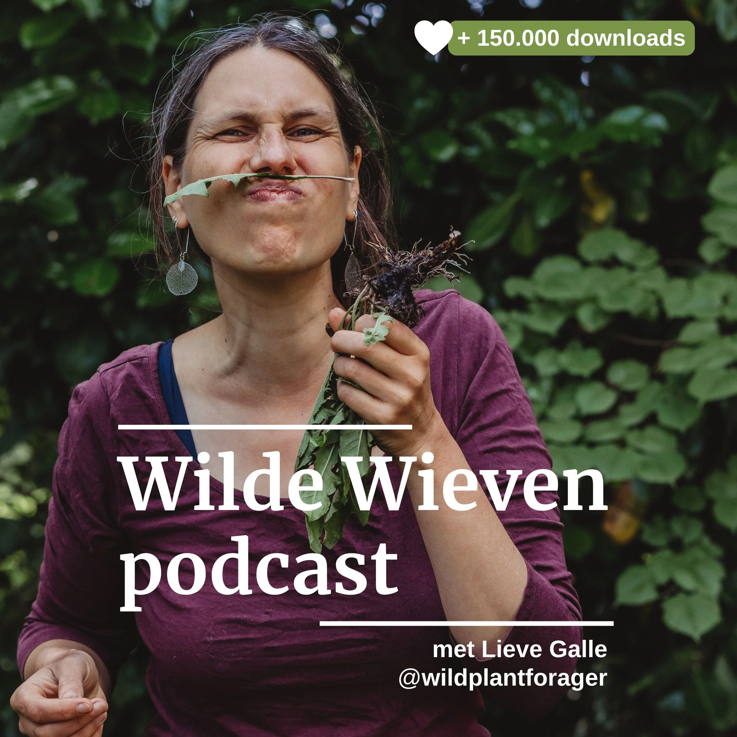 podcast cover van de Wilde Wieven podcast, een podcast van Lieve Galle over wildplukken en herborisme in België en Nederland