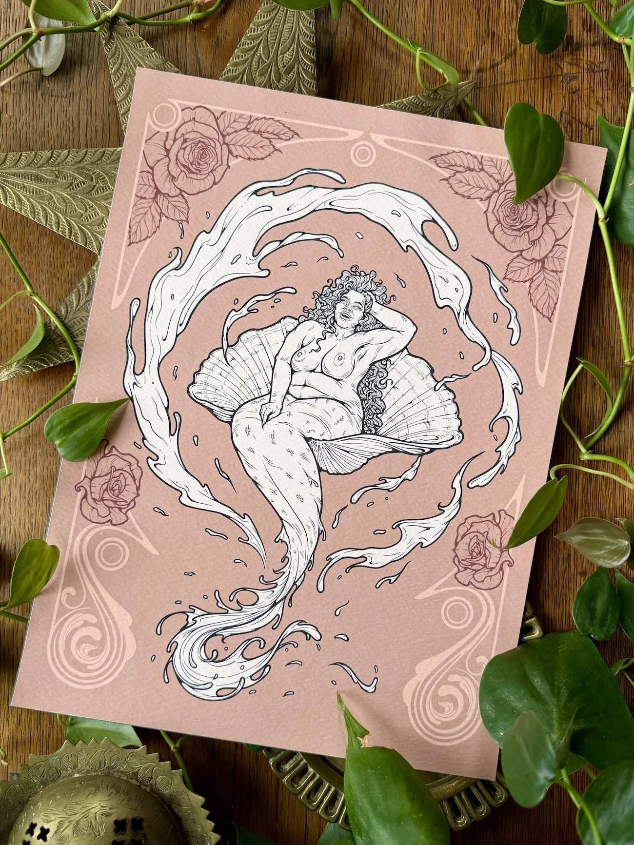 venusia website 1.jpg