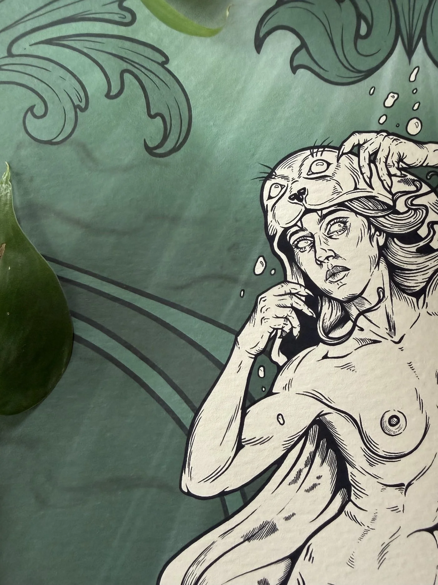 selkie web.jpg