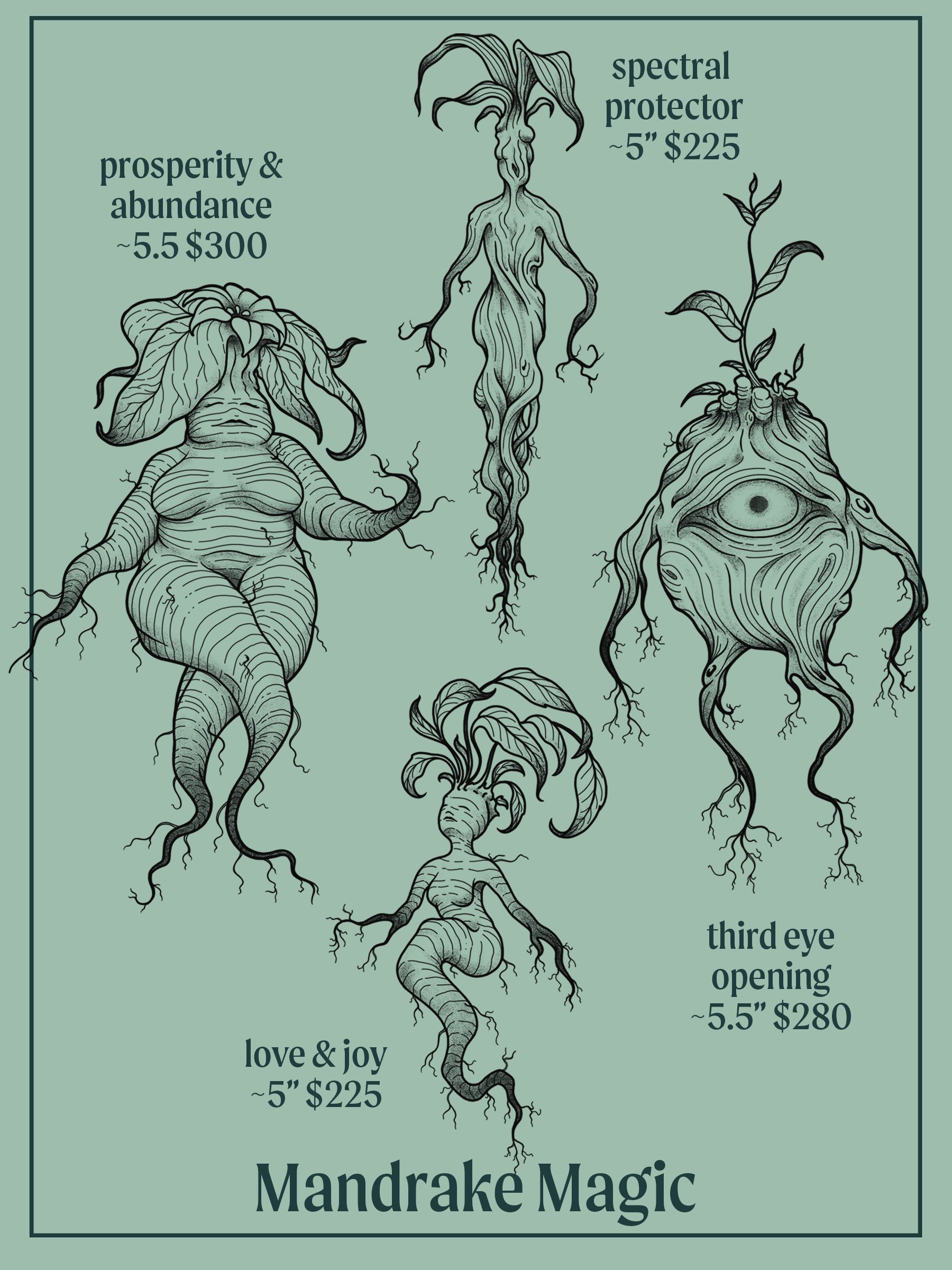 7.4.2025 mandrake flash website.jpg