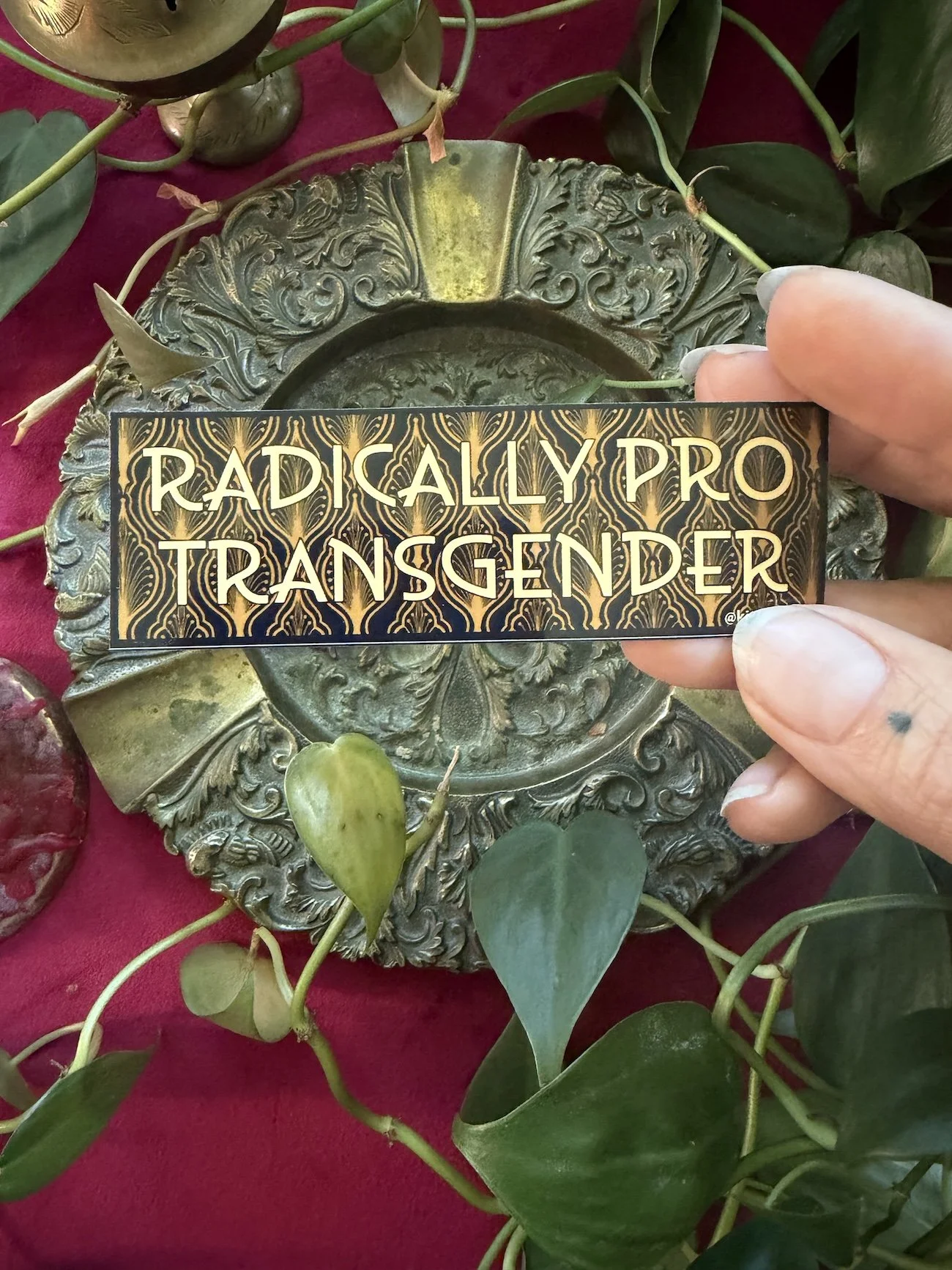 "Radically Pro Transgender" Sticker : Benefiting Elevated Access
