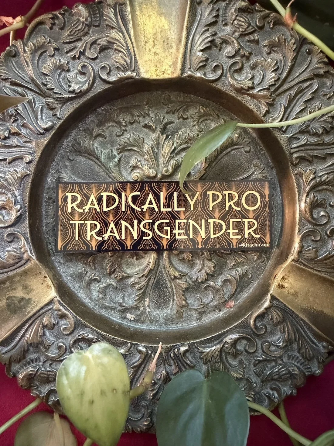 pro trans web 1.jpg