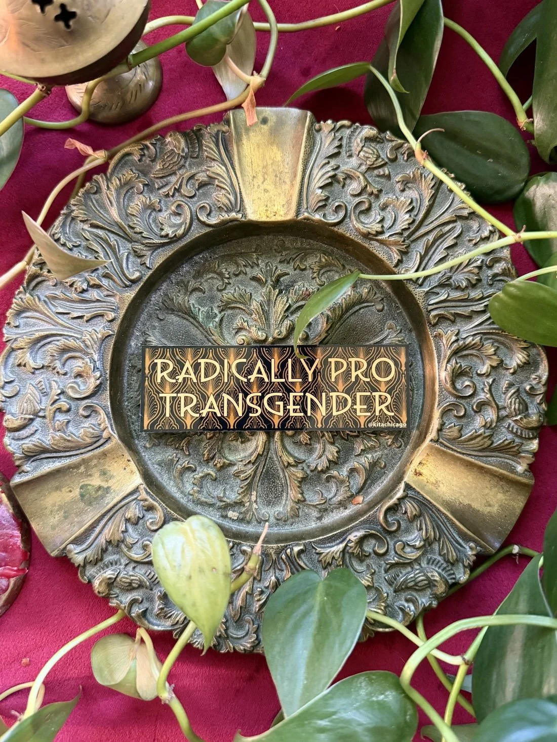 pro trans web 3.jpg