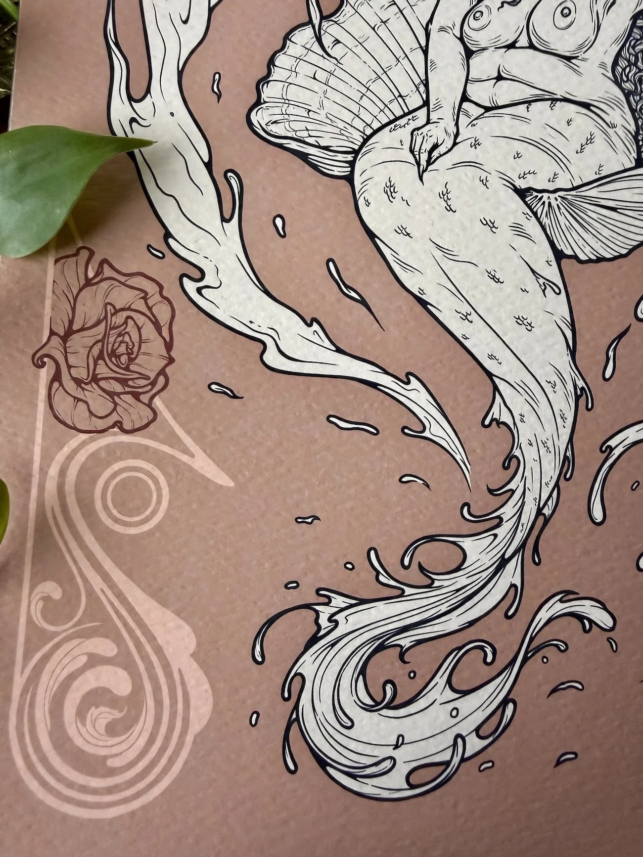 venusia website 4.jpg