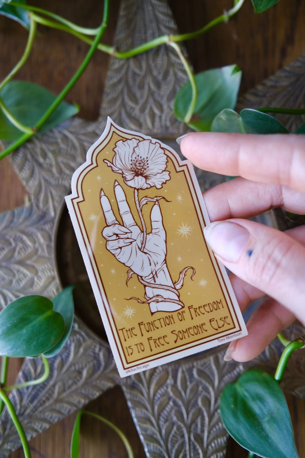 The Function of Freedom...