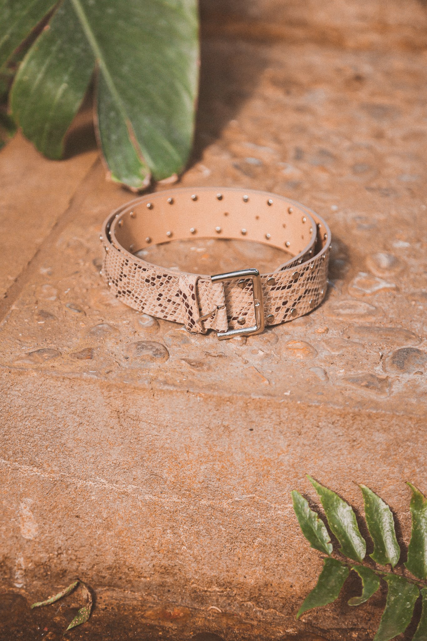 Ceinture python cloutée - odonata 2.jpg
