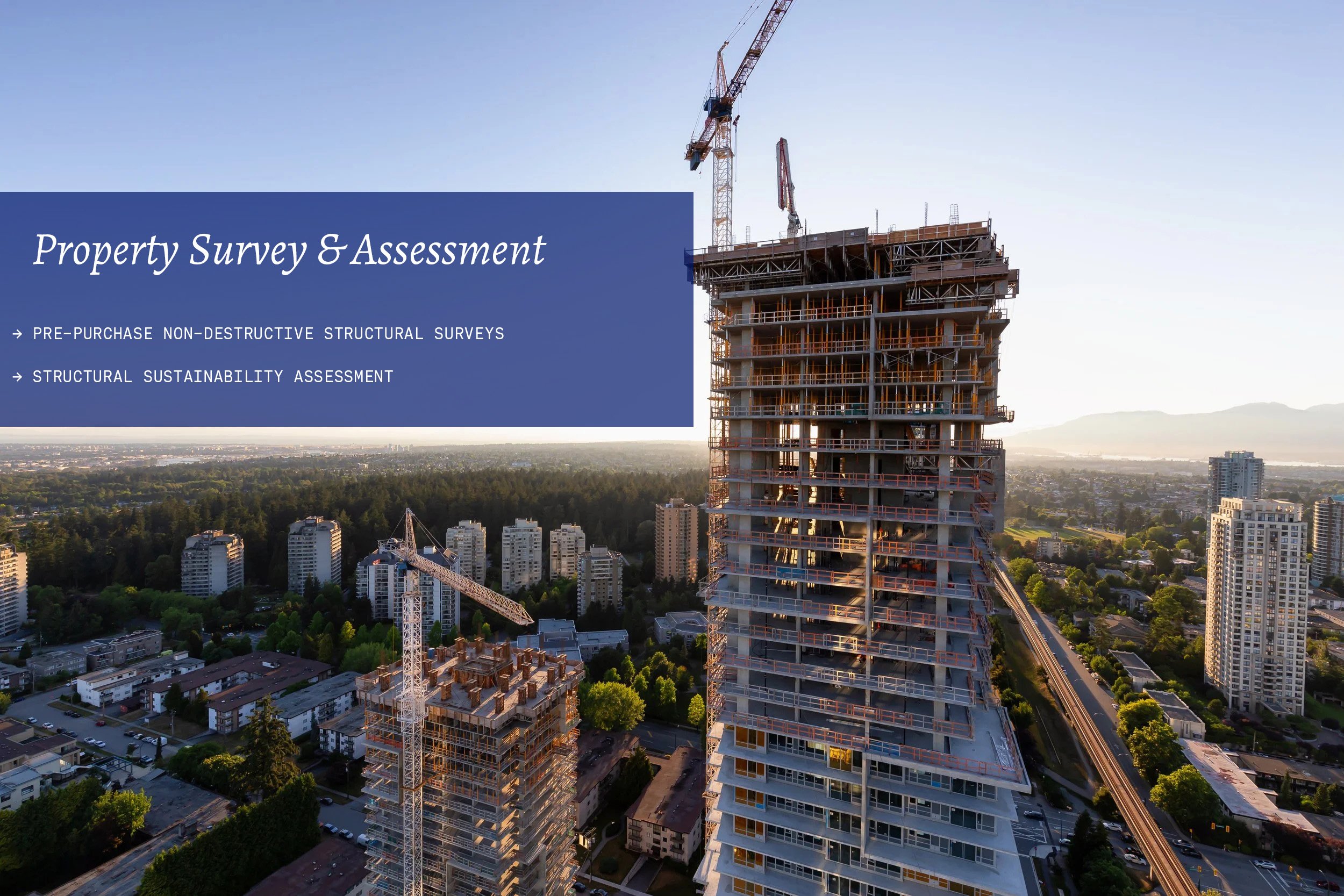 Property Survey & Assessment.jpg