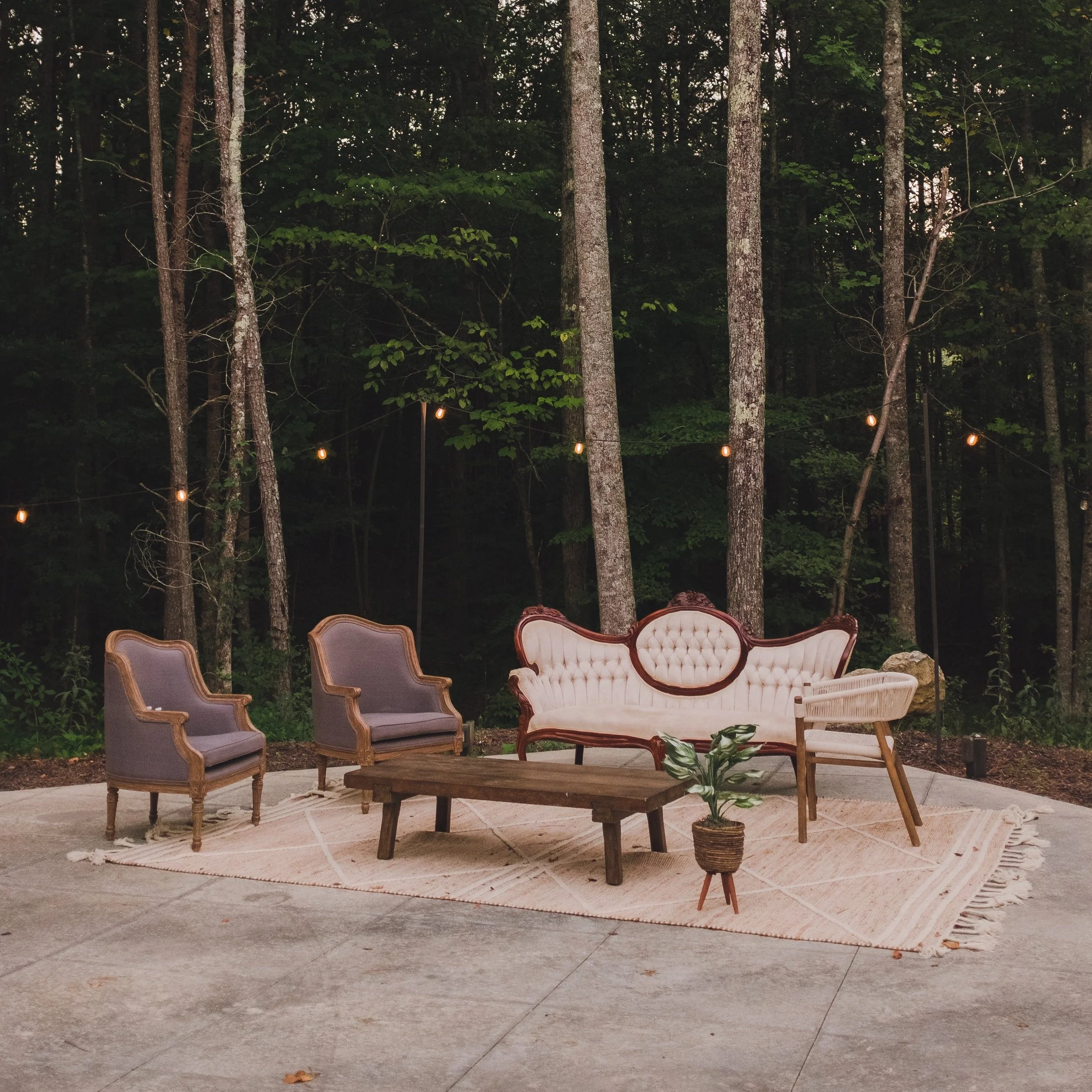Cadence Chair, Sadie + Sage Chairs, Brynlee Sofa, Jackson Table, Harlow Rug: $500