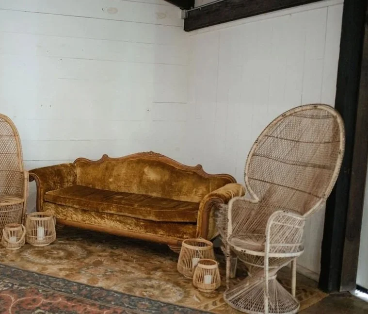 Felicity Sofa,  Just Ezra Peacock Chair, Esmerelda + Piper Rugs: $370