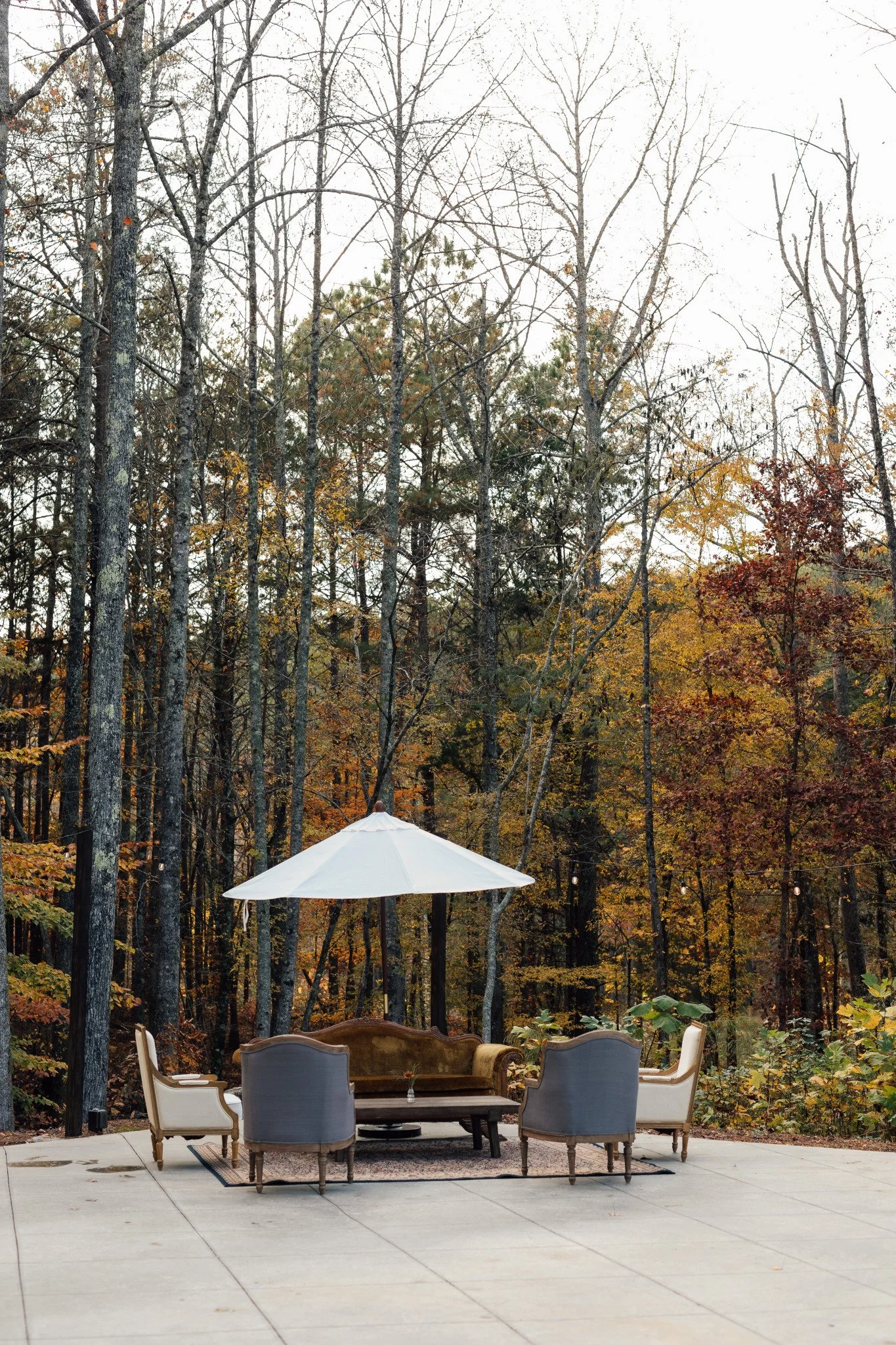 Felicity Sofa, Umbrella, Ivy + Nova Chairs, Sadie + Sage Chairs, Jackson Table, Charlotte Rug $555