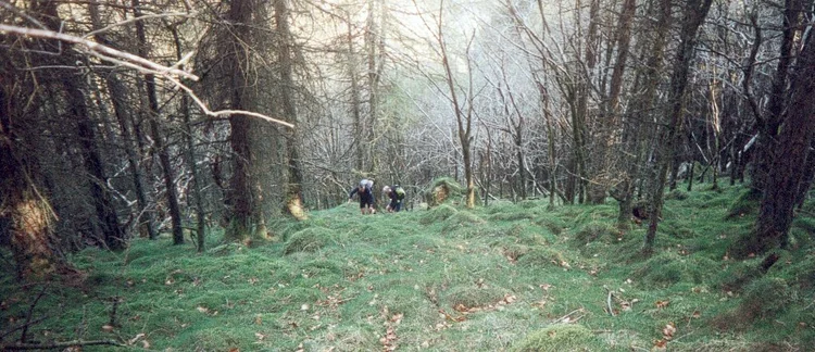 Nick & Bill climbing the woods on the south side of Ennerdale.