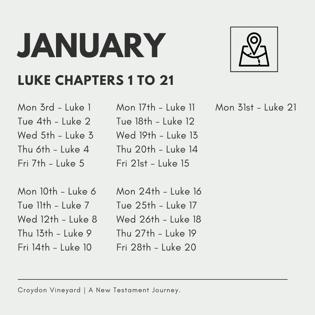 The Plan for January