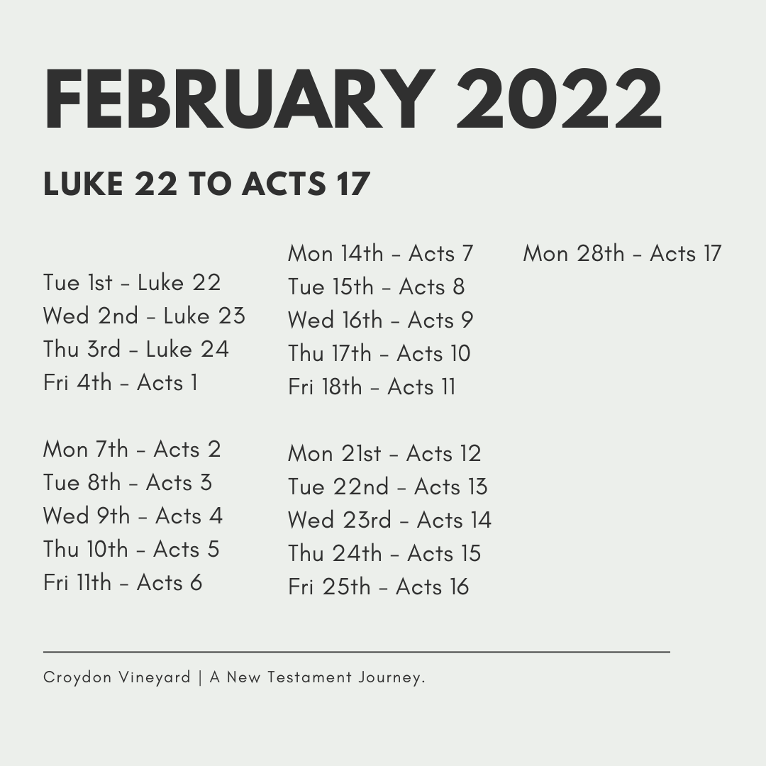 The Plan for February