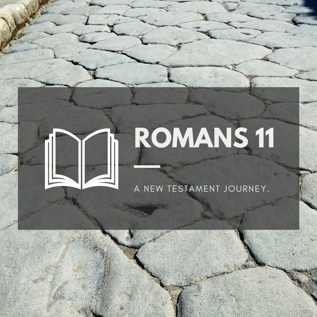 Wednesday 11th May - Romans 11