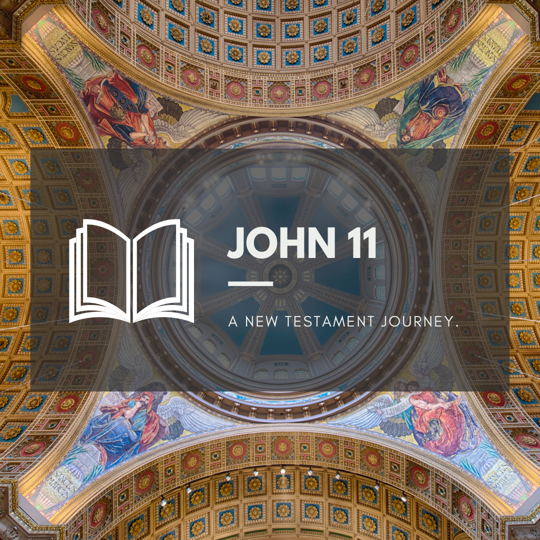 Friday 4th November - John 11