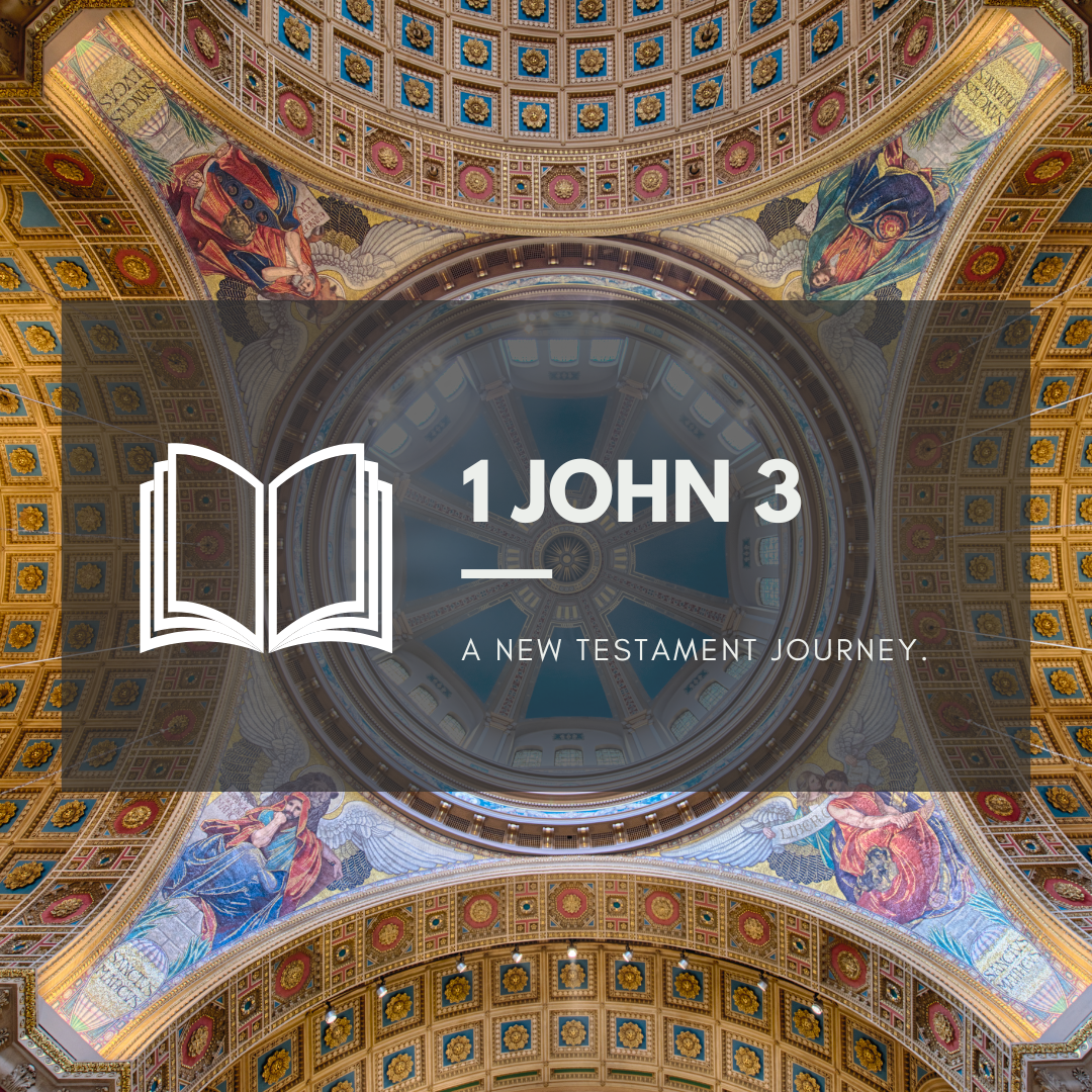 Wednesday 23rd November - 1 John 3 