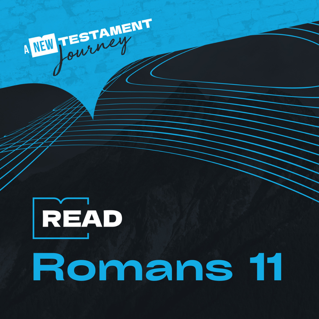 Wednesday 10th May - Romans 11