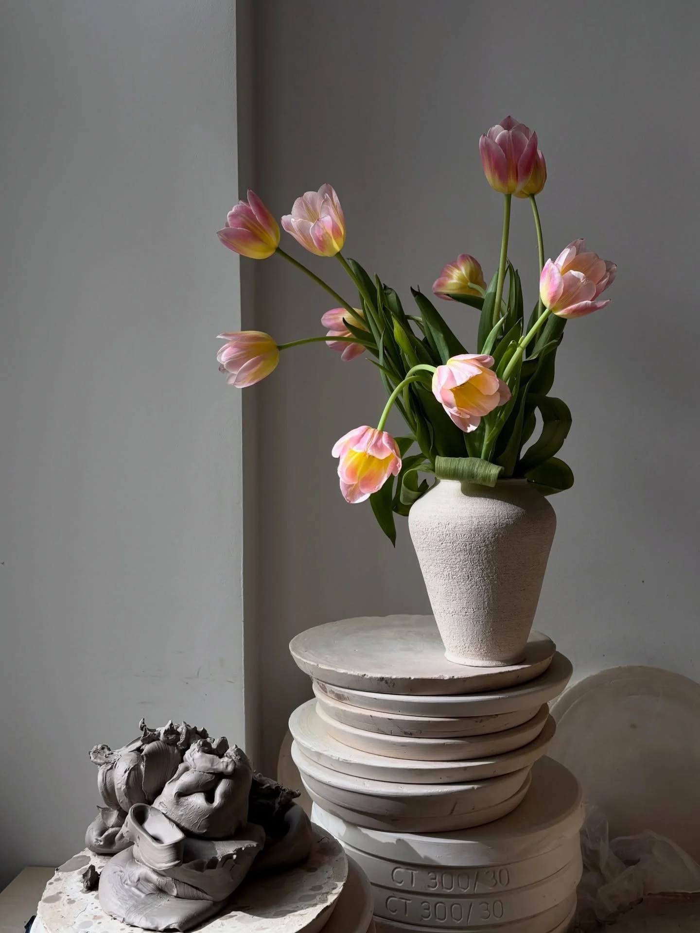 My favourite studio corner for pictures, where the light gets warm and dramatic in the late afternoon. Working on a series of vases to welcome Spring and for an upcoming event ~ excited to see the family slowly growing 🌷