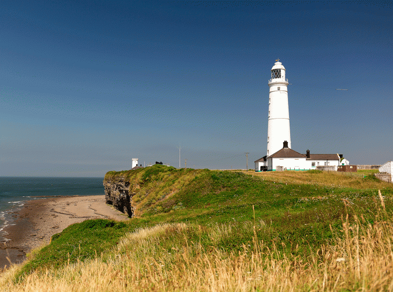 A large white lighthouse on a grassy coastal cliff overlooking the ocean, with a clear blue sky and a small white building at the base of the lighthouse.