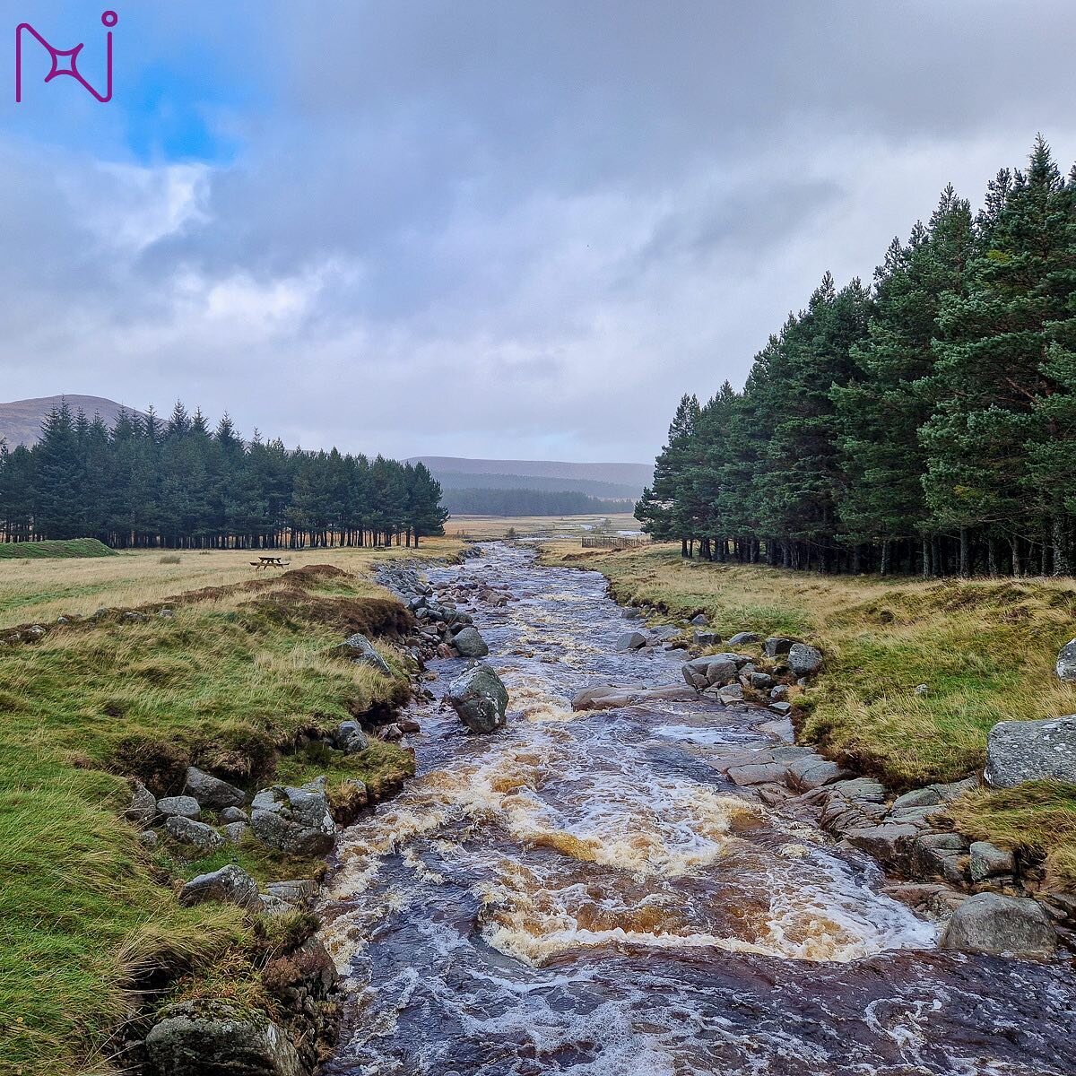 River Muick, Scotland #northstartransition #scotlandtransitionlab #water #biodiversity #systemschange