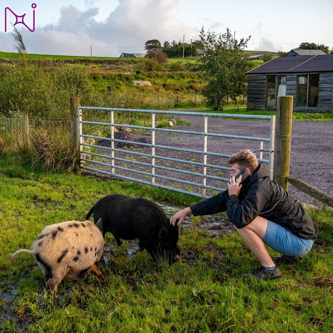 Dan Ward multi-tasks while meeting a local inhabitant of a farm in Eryi - Wales Transition Lab #walestransitionlab #northstartransition