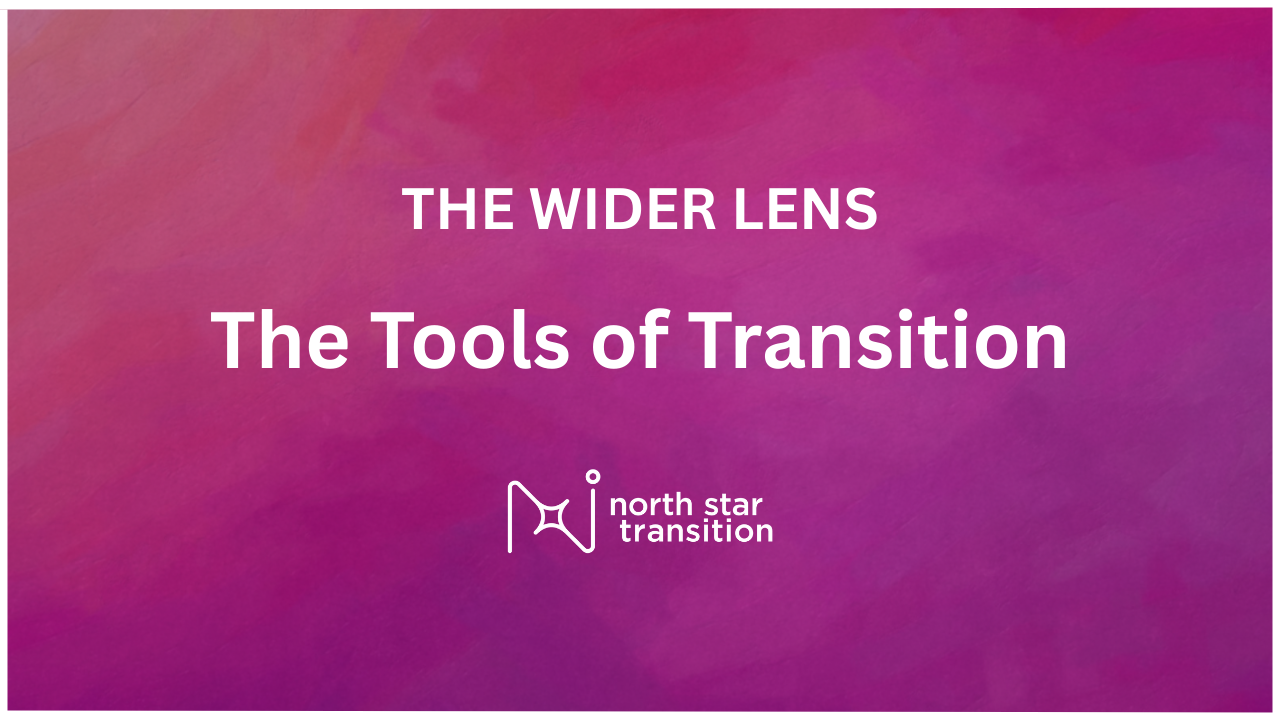 The Wider Lens - Episode 5: The tools for a transition