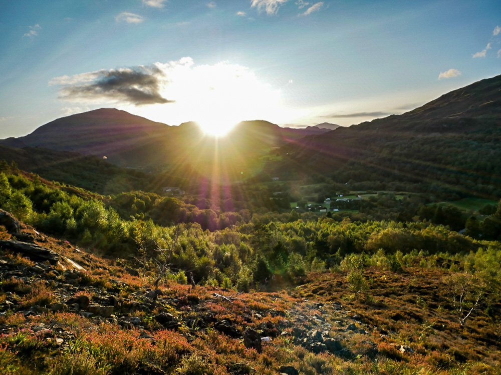 Embedding NbS within infrastructure projects