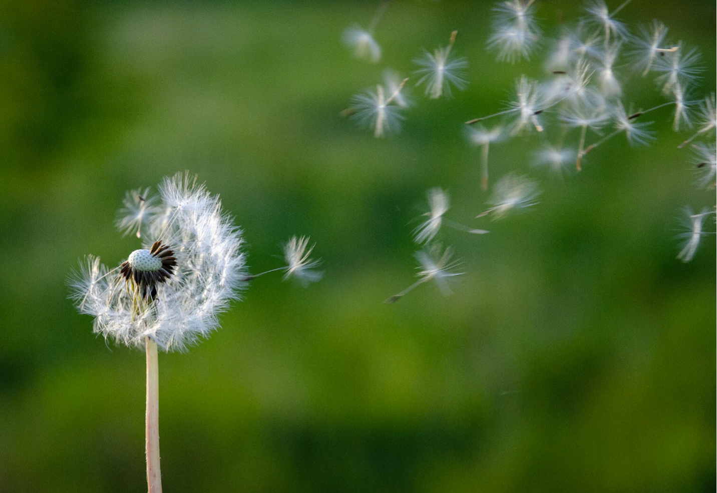 Disconnected allies: How our Theory of Transition found us