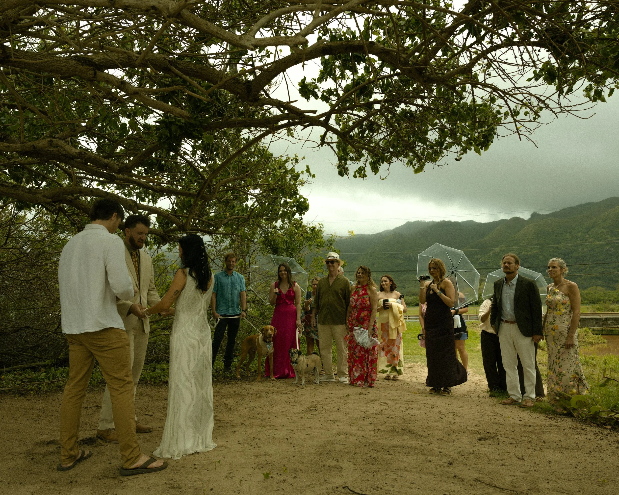 Syd & Luke Wedding-175.jpg