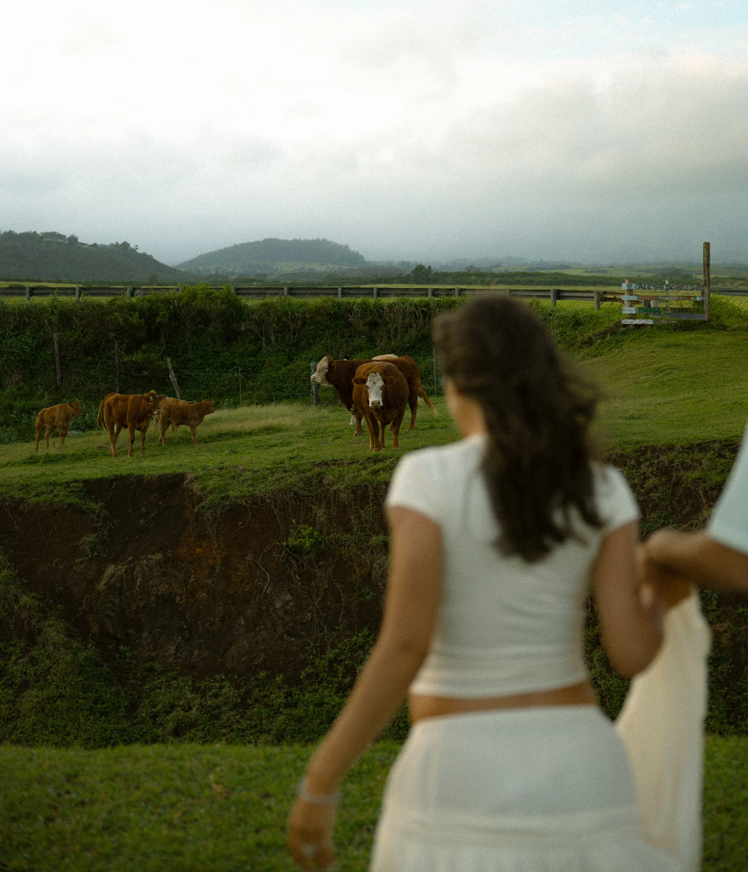 michelle & david-29.jpg