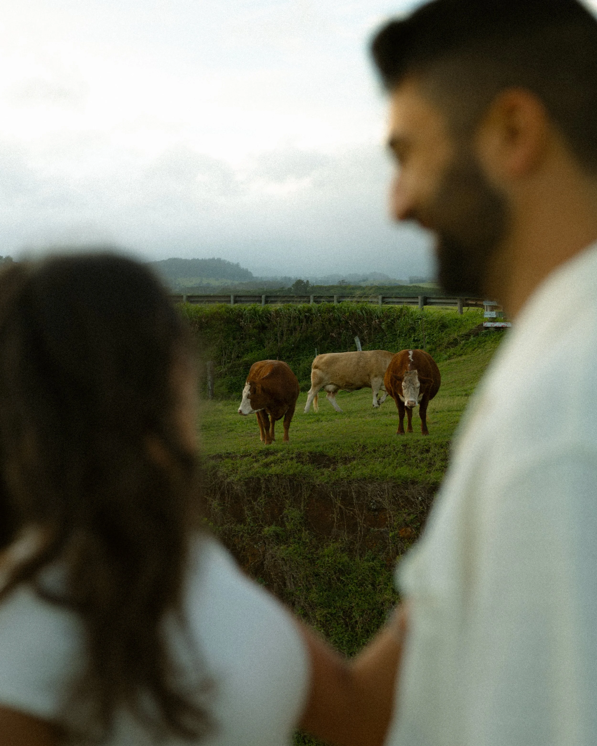 michelle & david-44.jpg