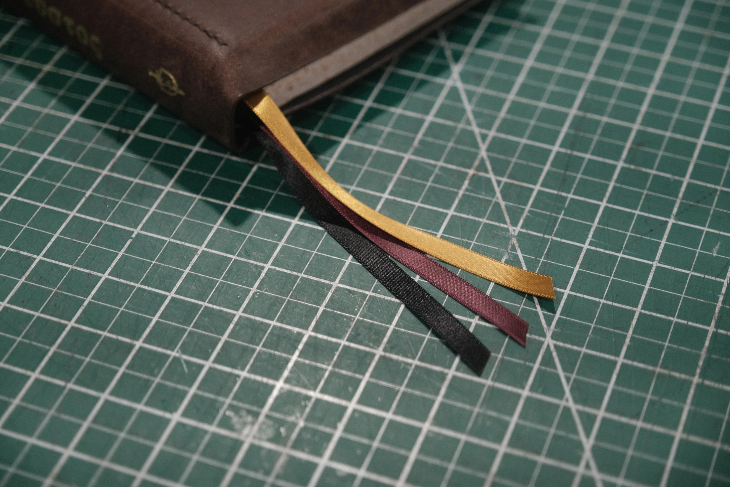 DSCF5511.JPG