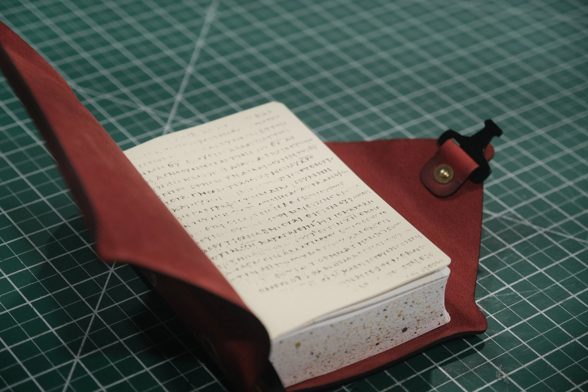 DSCF5590.JPG