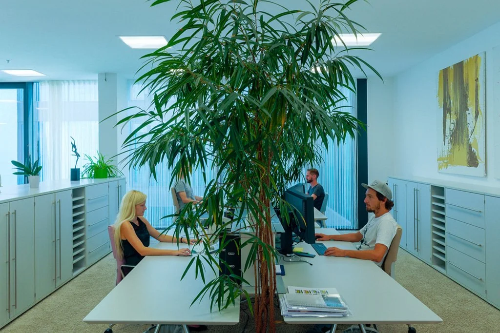 Reichl und Partner - Werbeagentur, Linz